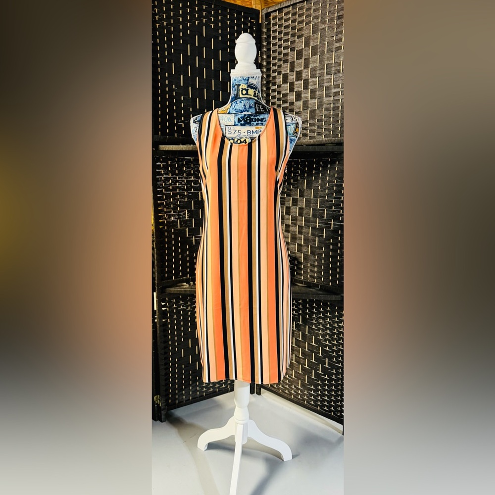 Ann Taylor Sleeveless Summer Striped Dress; Size Medium